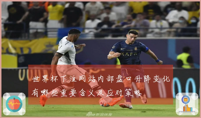 世界杯下注网站内部盘口升降变化有哪些重要含义及应对策略