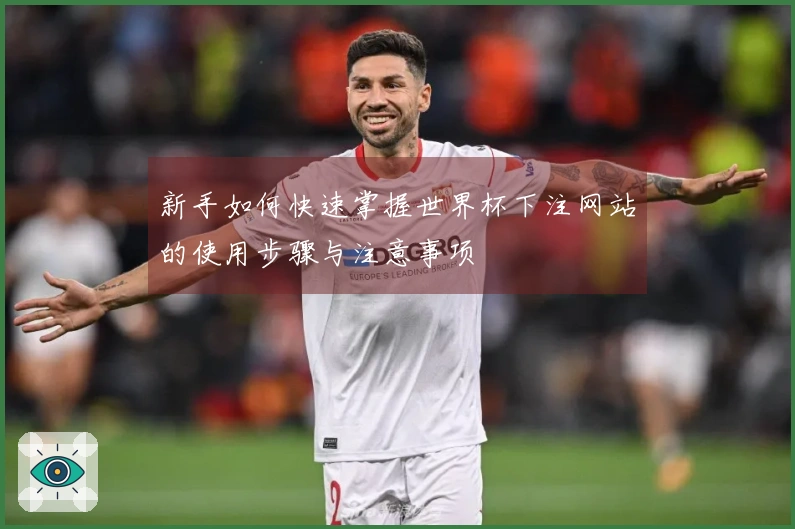 新手如何快速掌握世界杯下注网站的使用步骤与注意事项
