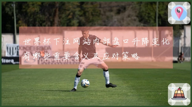 世界杯下注网站内部盘口升降变化有哪些重要含义及应对策略