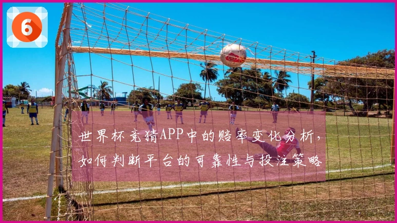 世界杯竞猜APP中的赔率变化分析，如何判断平台的可靠性与投注策略？