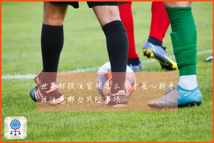 世界杯投注官网怎么买才省心新手该注意哪些风险事项