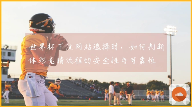 世界杯下注网站选择时，如何判断体彩竞猜流程的安全性与可靠性