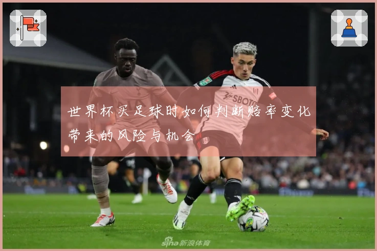 世界杯买足球时如何判断赔率变化带来的风险与机会