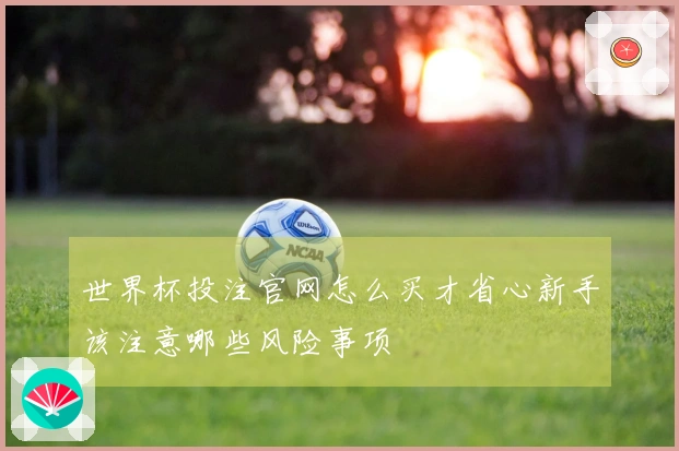 世界杯投注官网怎么买才省心新手该注意哪些风险事项