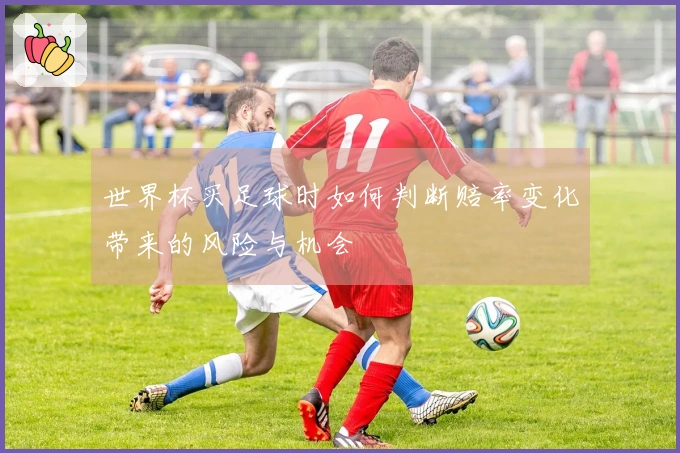 世界杯买足球时如何判断赔率变化带来的风险与机会